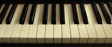 zongora